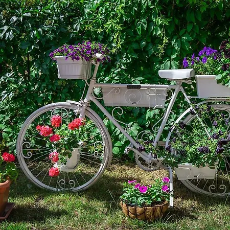 Hotel Step Slantschew brjag